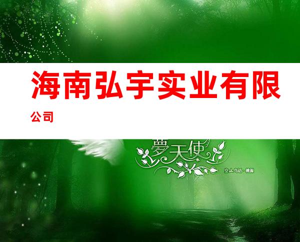 海南弘宇实业有限公司