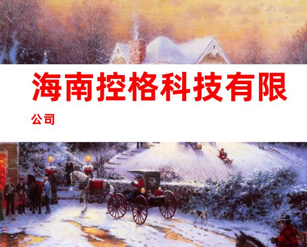 海南控格科技有限公司
