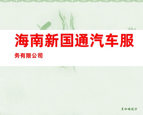 海南新国通汽车服务有限公司