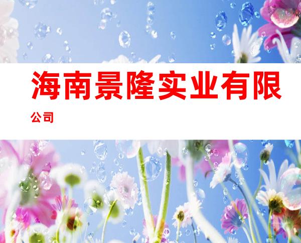海南景隆实业有限公司