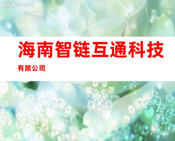 海南智链互通科技有限公司