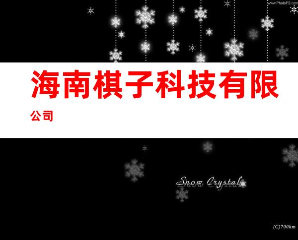 海南棋子科技有限公司