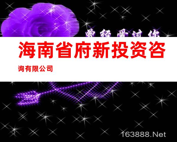 海南省府新投资咨询有限公司