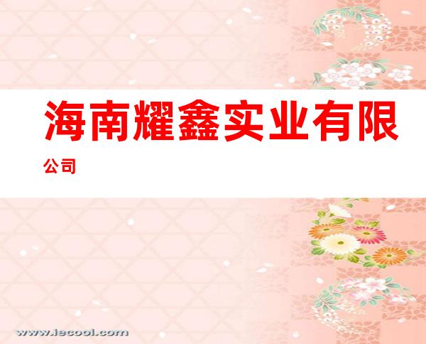 海南耀鑫实业有限公司