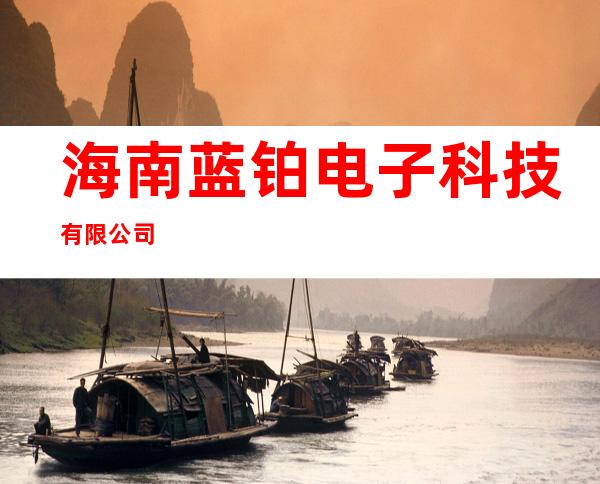 海南蓝铂电子科技有限公司