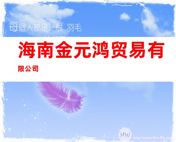 海南金元鸿贸易有限公司