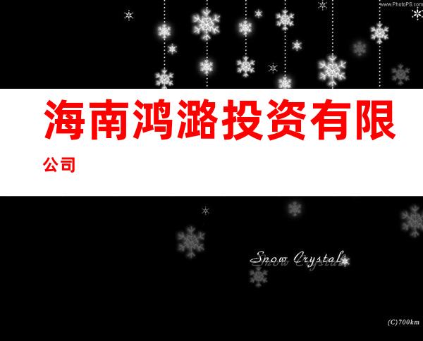 海南鸿潞投资有限公司