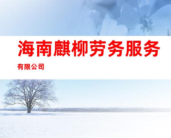 海南麒柳劳务服务有限公司
