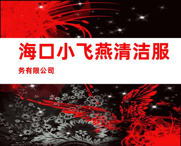 海口小飞燕清洁服务有限公司
