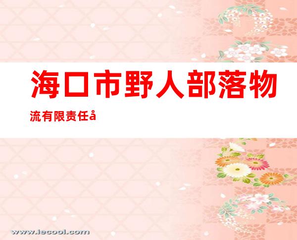 海口市野人部落物流有限责任公司