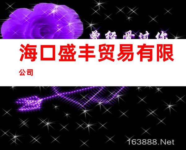 海口盛丰贸易有限公司