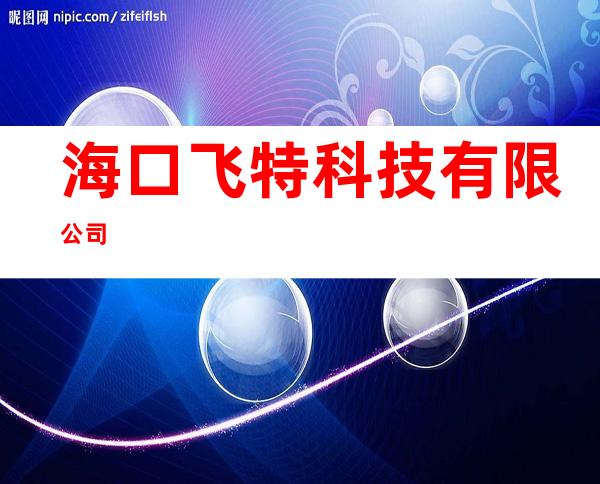 海口飞特科技有限公司