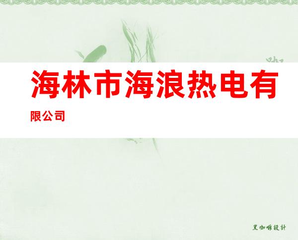 海林市海浪热电有限公司