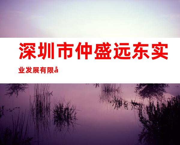 深圳市仲盛远东实业发展有限公司