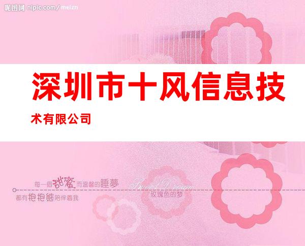 深圳市十风信息技术有限公司