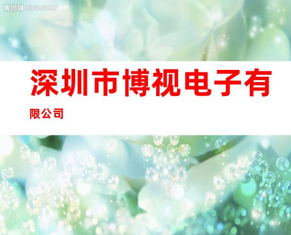 深圳市博视电子有限公司