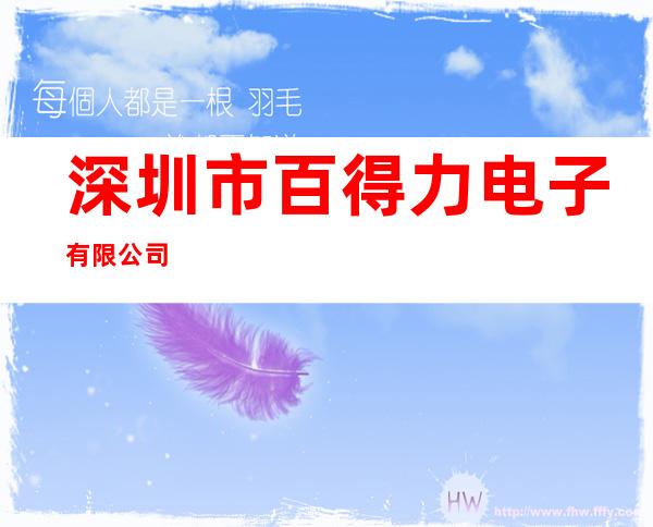 深圳市百得力电子有限公司