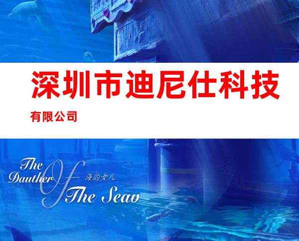 深圳市迪尼仕科技有限公司