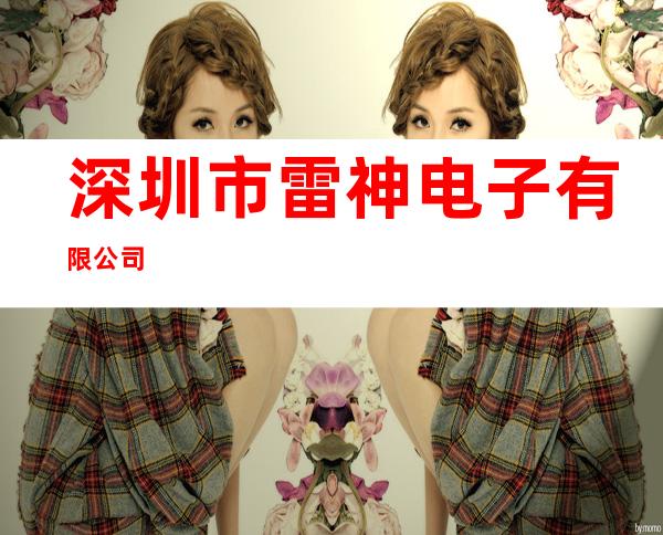 深圳市雷神电子有限公司