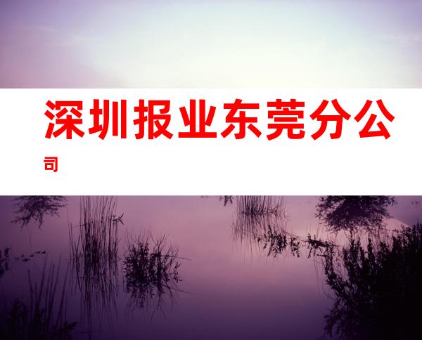 深圳报业东莞分公司