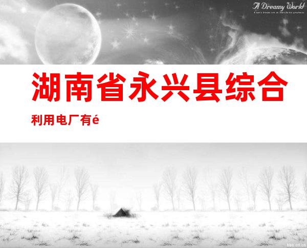 湖南省永兴县综合利用电厂有限公司