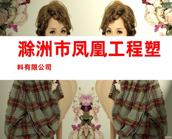 滁洲市凤凰工程塑料有限公司