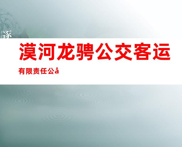 漠河龙骋公交客运有限责任公司