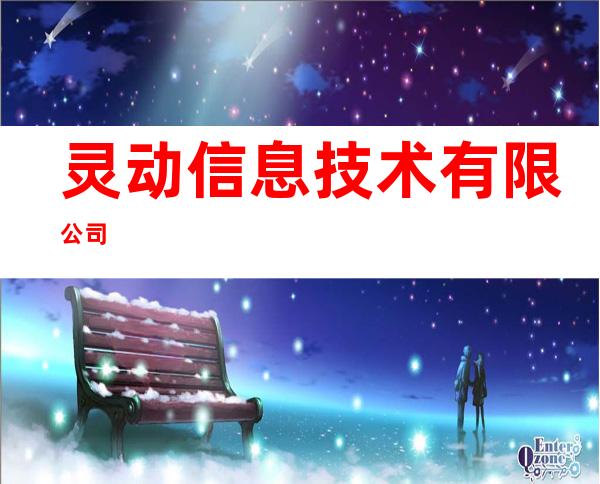 灵动信息技术有限公司