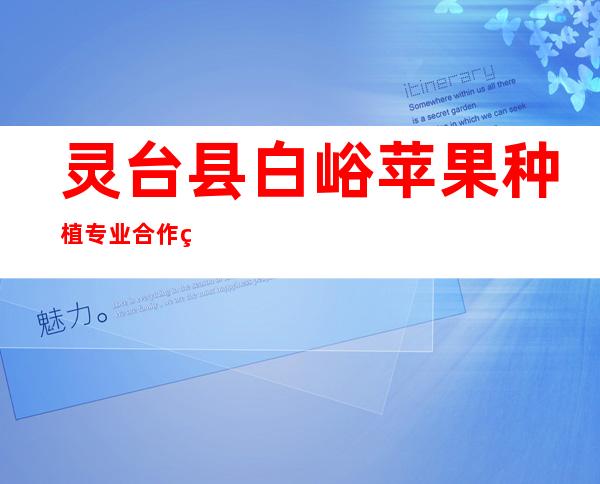 灵台县白峪苹果种植专业合作社