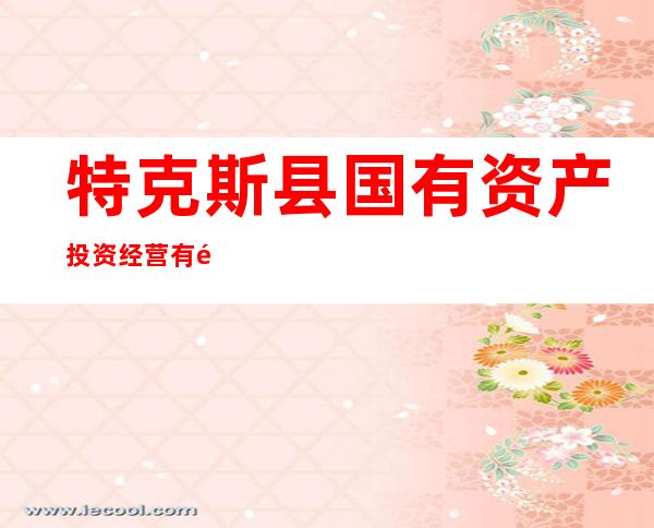 特克斯县国有资产投资经营有限责任公司
