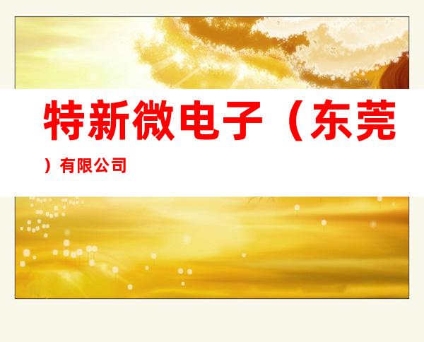 特新微电子(东莞)有限公司