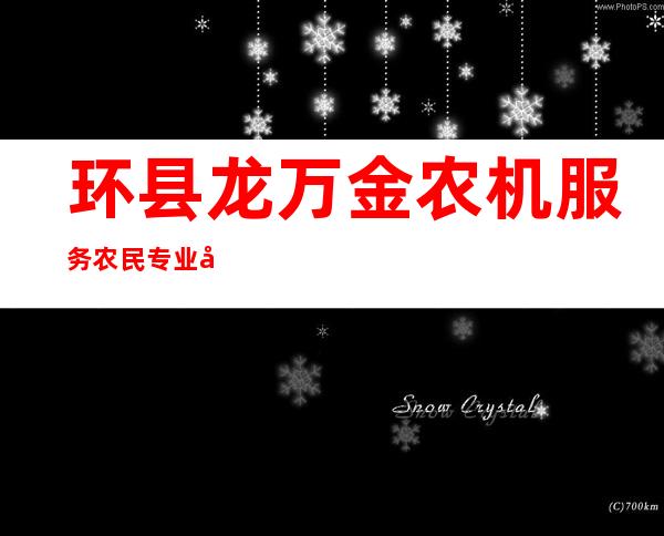 环县龙万金农机服务农民专业合作社