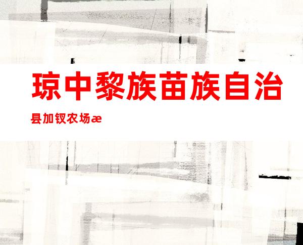 琼中黎族苗族自治县加钗农场新伟茶厂