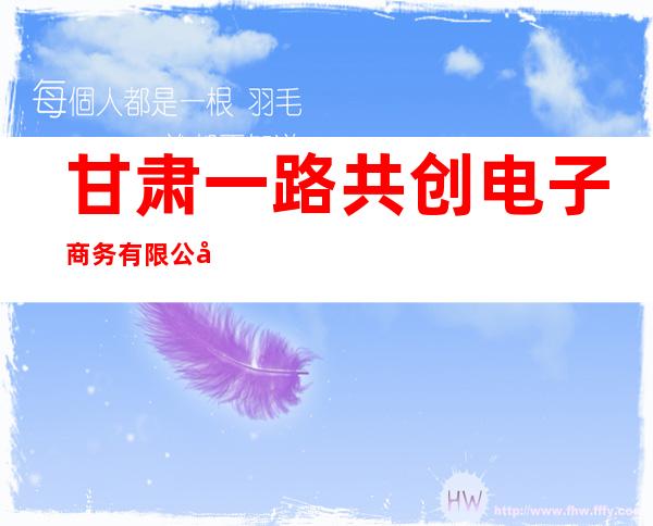 甘肃一路共创电子商务有限公司