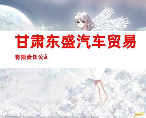 甘肃东盛汽车贸易有限责任公司