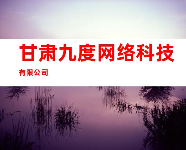 甘肃九度网络科技有限公司