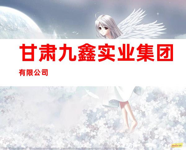 甘肃九鑫实业集团有限公司