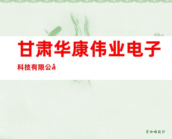 甘肃华康伟业电子科技有限公司