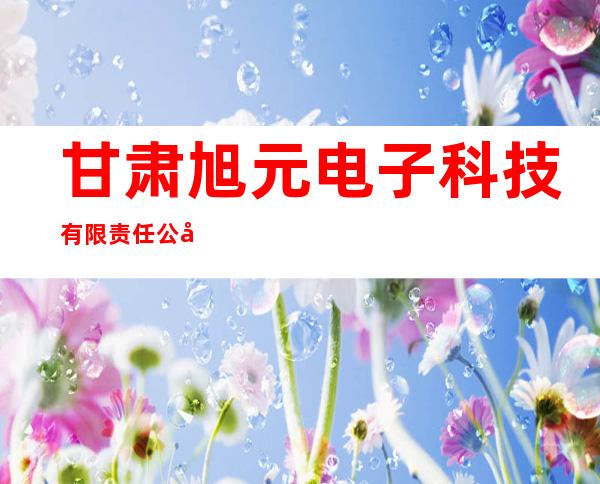 甘肃旭元电子科技有限责任公司