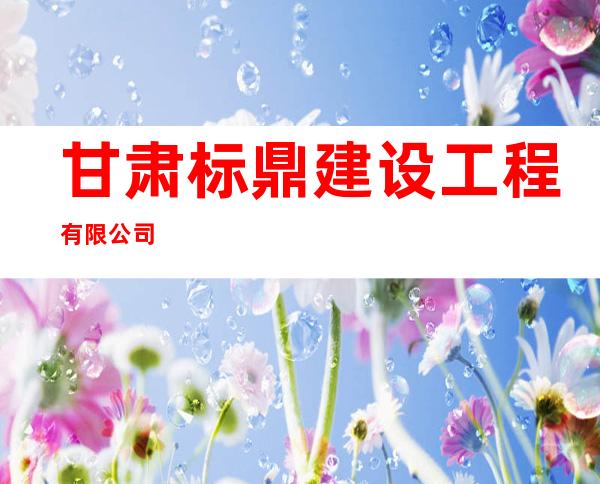 甘肃标鼎建设工程有限公司