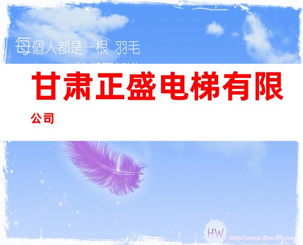 甘肃正盛电梯有限公司