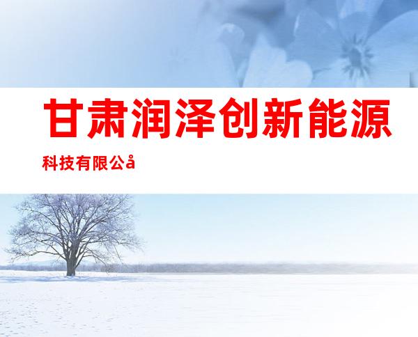 甘肃润泽创新能源科技有限公司