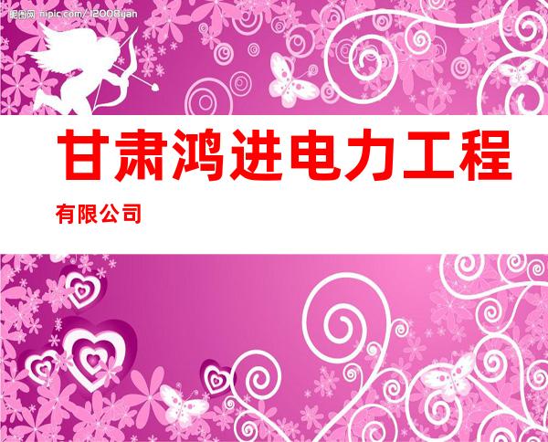 甘肃鸿进电力工程有限公司