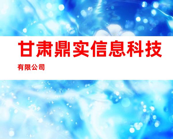 甘肃鼎实信息科技有限公司