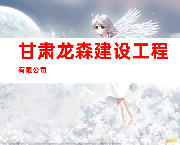 甘肃龙森建设工程有限公司