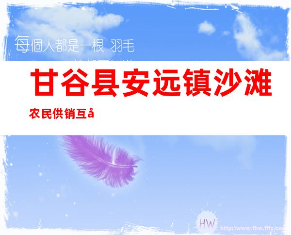 甘谷县安远镇沙滩农民供销互助合作社