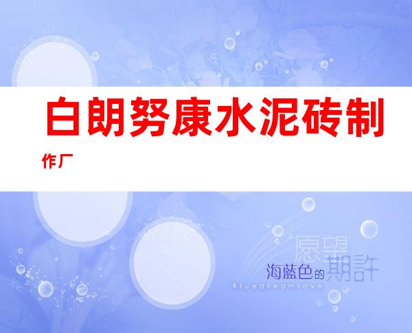 白朗努康水泥砖制作厂