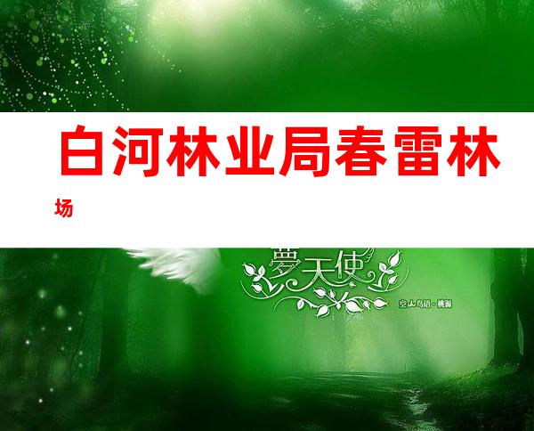 白河林业局春雷林场