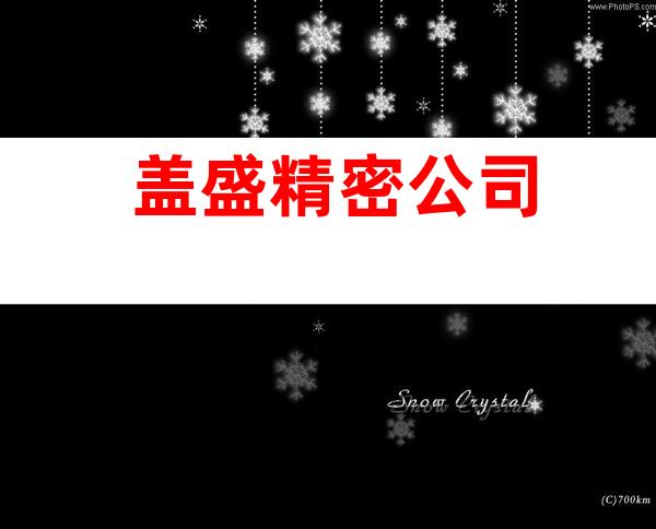 盖盛精密公司