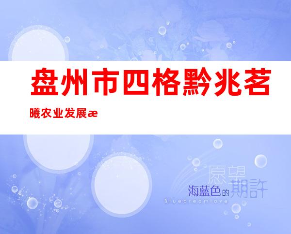 盘州市四格黔兆茗曦农业发展有限责任公司